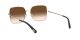Dolce & Gabbana DG 2242 02/13 Női napszemüveg