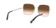 Dolce & Gabbana DG 2242 02/13 Női napszemüveg