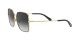 Dolce & Gabbana DG 2242 1334/8G Női napszemüveg