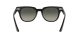 Ray-Ban napszemüveg RB 2168 901/71
