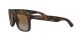 Ray-Ban napszemüveg RB 4165 865/T5