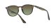 Ray-Ban napszemüveg RB 4259 731/E8