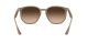 Ray-Ban napszemüveg RB 4306 6166/13