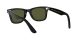 Ray-Ban Wayfarer RB 4340 601/58 Férfi, Női napszemüveg