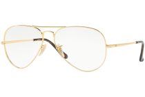 Ray-Ban Aviator RX 6489 2500